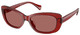 Shiny Transp Burgundy / Bordeaux