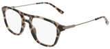 Taupe Tortoise / Clear