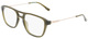 Olive / Clear