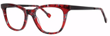 Burgundy Tortoise - Black - Clear