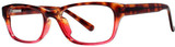 Tortoise Burgundy - Clear