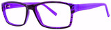 Black Purple - Clear