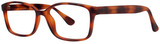 Tortoise Matte - Clear