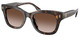Dark Tortoise - Brown Gradient