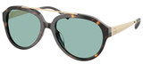Brown Tortoise - Petrol Green