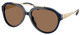 Dark Blue - Dark Brown