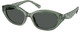 Transparent Sage - Dark Grey