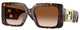 Havana - Brown Gradient