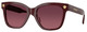 Burgundy - Gradient Purple