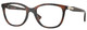 Brown Havana - Clear