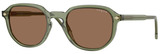 Transp Green - Dark Brown