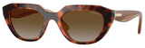 Dark Havana - Brown Polarized