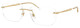 Arista Gold / Clear