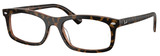 Havana Brown / Clear