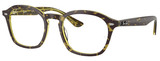 Havana - Green / Clear