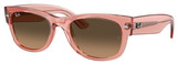 Transp Pink - Lt Brown Grad Blk