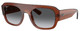 Transp Brown - Grey Grad Polar