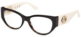 Dark Havana - Shiny Ivory - Clear