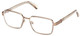 Shiny Light Brown - Clear