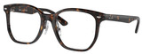 Ray-Ban Eyeglasses RX5425D 2012