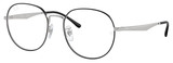 Ray-Ban Eyeglasses RX6517D 2983