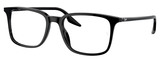 Ray-Ban Eyeglasses RX5421 2000