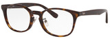 Ray-Ban Eyeglasses RX5386D 2012