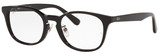 Ray-Ban Eyeglasses RX5386D 2000