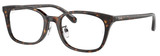 Ray-Ban Eyeglasses RX5407D 2012