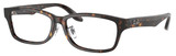 Ray-Ban Eyeglasses RX5408D 2012