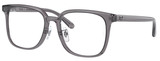 Ray-Ban Eyeglasses RX5419D 8286