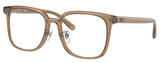 Ray-Ban Eyeglasses RX5419D 8269