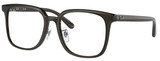 Ray-Ban Eyeglasses RX5419D 8218