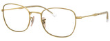 Ray-Ban Eyeglasses RX6497 2500