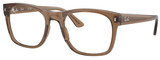 Ray-Ban Eyeglasses RX7228 8198