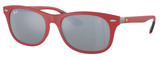 Ray-Ban Sunglasses RB4607M F62830