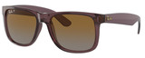 Ray-Ban Sunglasses RB4165 Justin 6597T5