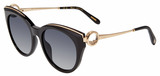 Chopard Sunglasses SCHL04S 0700