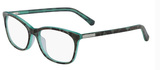 Teal Tortoise / Clear