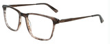 Cole Haan Eyeglasses CH4050 210