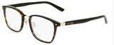 Cole Haan Eyeglasses CH3005 240