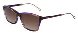 Cole Haan Sunglasse CH7081 505