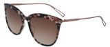 Cole Haan Sunglasse CH7079 651