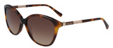 Cole Haan Sunglasse CH7071 240