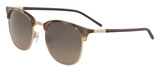 Cole Haan Sunglasse CH7066 245