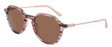 Cole Haan Sunglasse CH6503 651