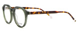 DI Valdi Eyeglasses DVO8251 060