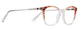 DI Valdi Eyeglasses DVO8167 040