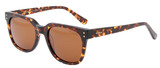 DI Valdi Sunglasses DV0141 010