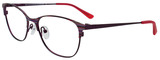 EasyClip Eyeglasses EC710 030